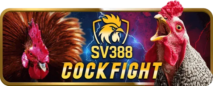 Thưởng nạp hàng ngày ok365vip code