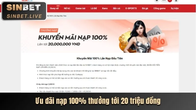 Hoàn trả tiền cược hàng tuần cho người chơi thể thao